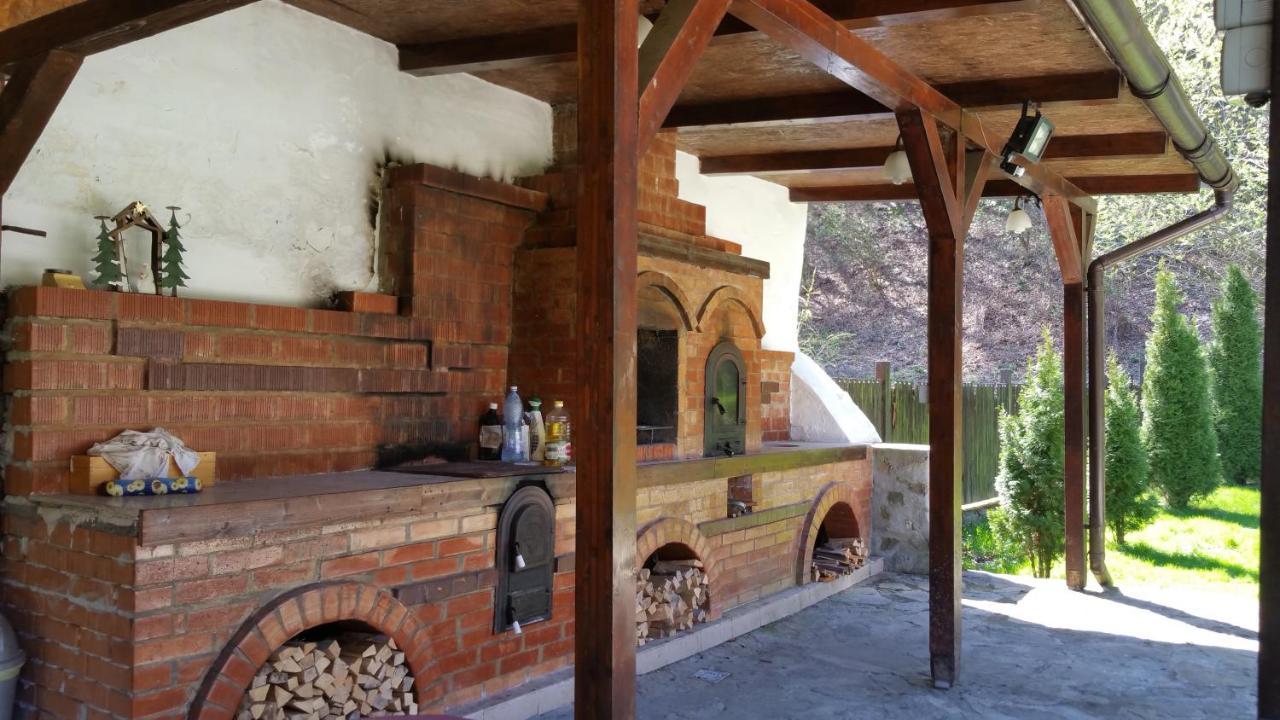 فيلا Casa Alex Văliug المظهر الخارجي الصورة