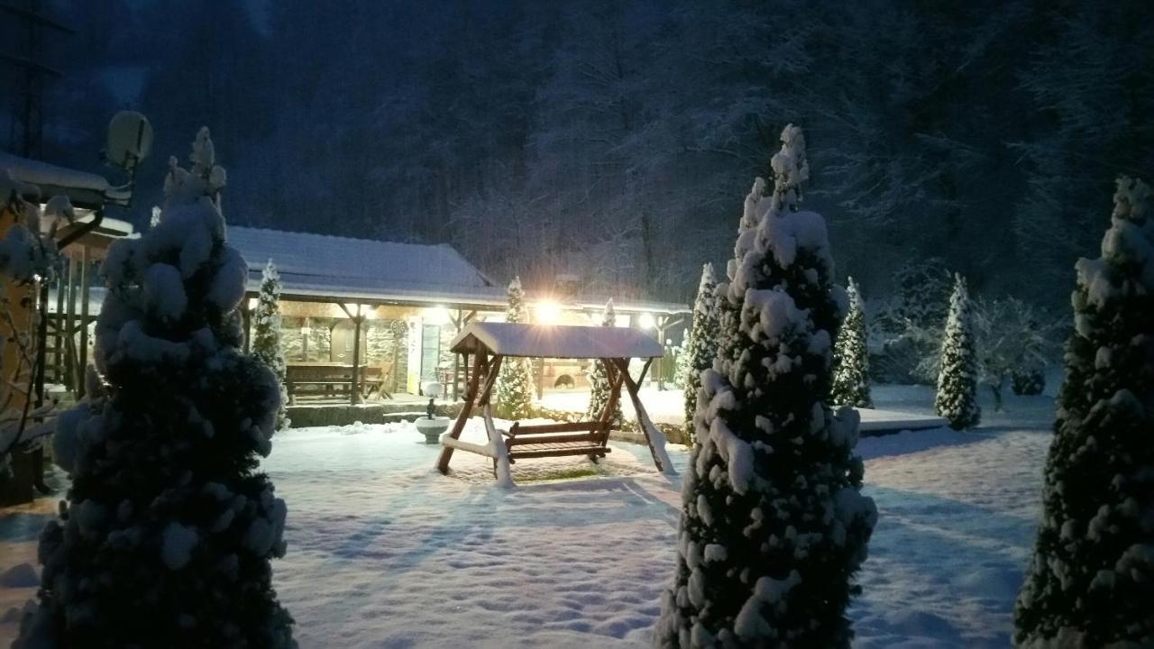 فيلا Casa Alex Văliug المظهر الخارجي الصورة