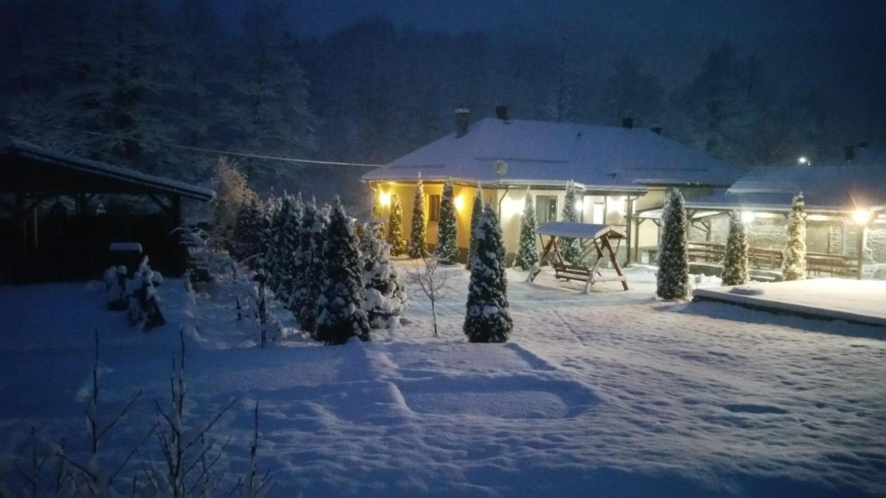 فيلا Casa Alex Văliug المظهر الخارجي الصورة