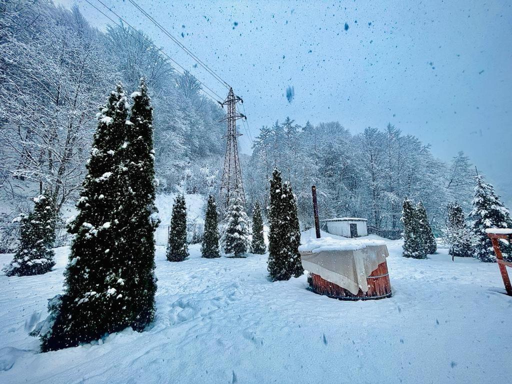 فيلا Casa Alex Văliug المظهر الخارجي الصورة