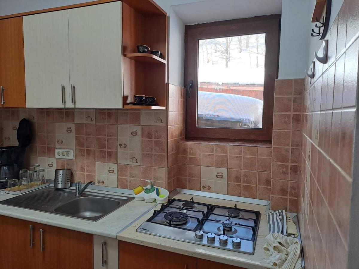 فيلا Casa Alex Văliug المظهر الخارجي الصورة