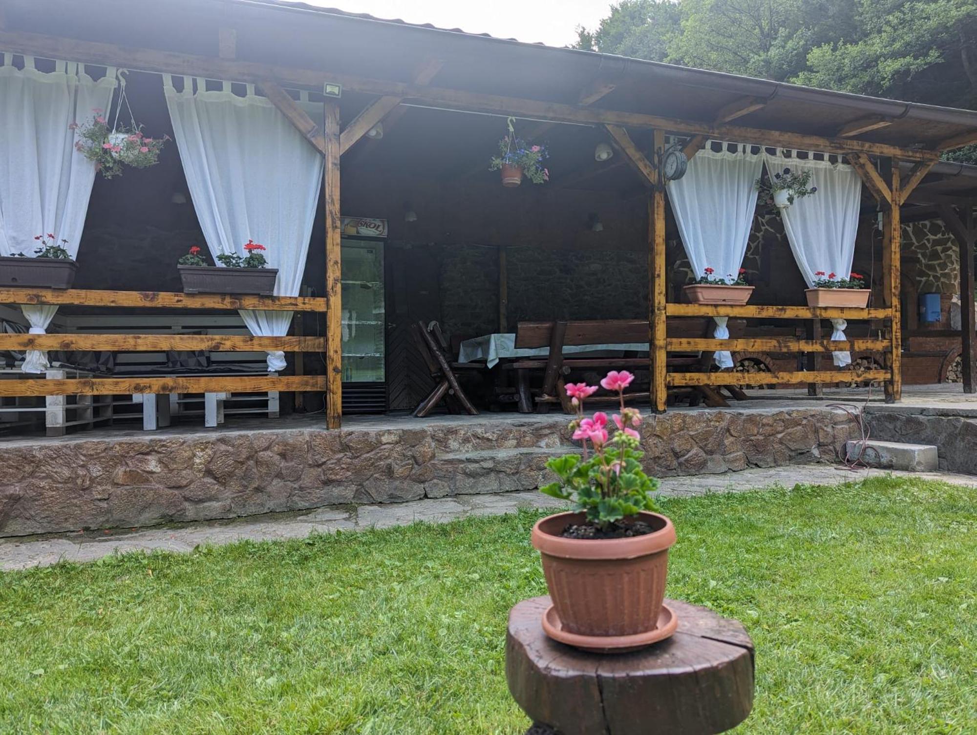 فيلا Casa Alex Văliug المظهر الخارجي الصورة