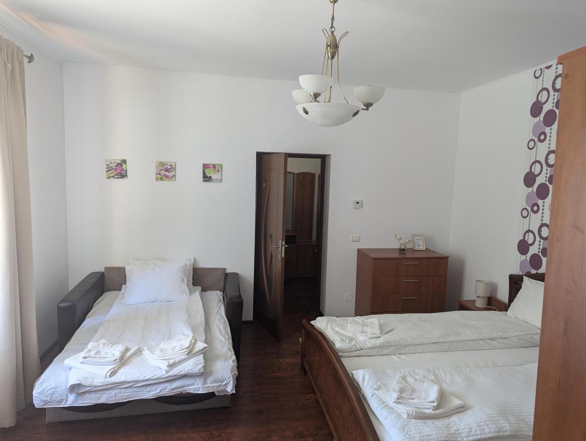 فيلا Casa Alex Văliug المظهر الخارجي الصورة